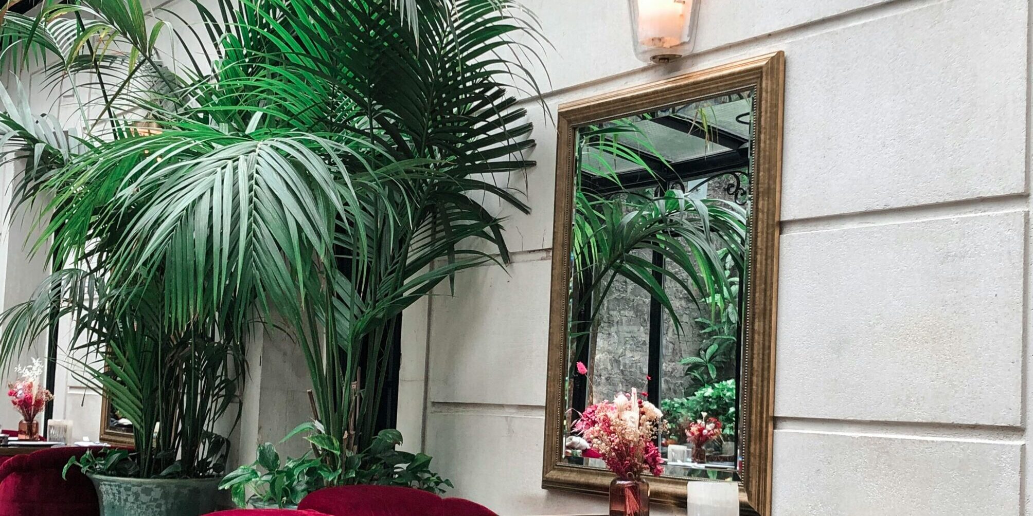 Stylish Parisian interior featuring red velvet chairs, tropical plants, and a classic mirror.